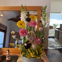 ガーベラ,スカビオサ,チューリップ,ミモザ,梅(うめ)の画像