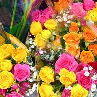 青空,お出かけ,雲仲間,キッチン,和室の画像