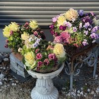 寄せ植え,マウント寄せ植えの画像