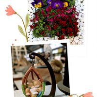 ルビーネックレス,パンジー,ビオラ,ビオラ,私の思い出❤️の画像