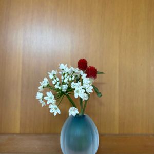 アリウム,レースフラワー,アリウム コワニー,センニチコウ（千日紅）,千日紅（せんにちこう）の画像