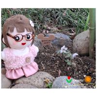 セツブンソウ,ステキ☆,スプリングエフェメラル,癒し…♡,か〜わい〜の画像