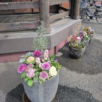 寄せ植え,ガーデニング,ナチュラルガーデン,コンテナガーデン,花のある暮らしの画像
