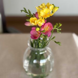 フリージア,リビング,花のある暮らしの画像