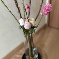 アネモネ,桃の花,癒し,花のある暮らし,ありがとう♡の画像