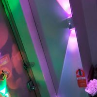 チランジア,エピフィラム アングリガー,フィッシュボーン カクタス,チランジア  カーリースリムの画像