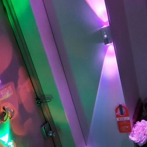 チランジア,エピフィラム アングリガー,フィッシュボーン カクタス,チランジア  カーリースリムの画像