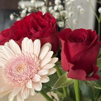 バラ,バラ大好き,お家園芸,バラの庭園をつくりたい,世界をもっとバラ色にbyハイポネックスの画像