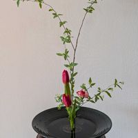 コデマリ,チューリップ,スプレーカーネーション,私の生け花,静岡市葵区美和地区の河津桜の画像