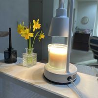 スイセンの画像