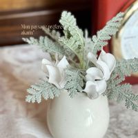 ガーデンシクラメンの画像