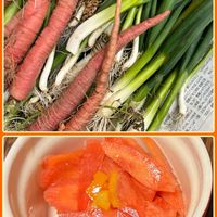 ニンジン,レモン,ネギ,金時人参,赤ミニレモンの画像