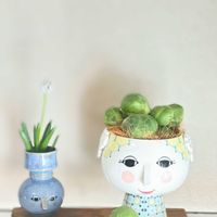 ヒヤシンス,芽キャベツ,ムスカリ　マウンテンレディ,ポーラベア,可愛いお花の画像