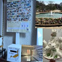 ハナモモ,ねこ,猫写真展,大佛次郎館。,大佛次郎館の雛人形の画像