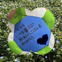 オオイヌノフグリ,ノビル,公園,思い出,カメの画像