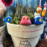 イチゴ,豆苗,いちご,富士山,❤️いいね、ありがとうの画像