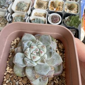 ベランダの画像