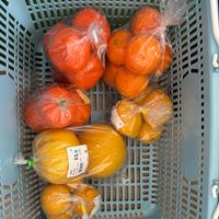 ミカン,みかん,花のある暮らし,みんな元気で！の画像