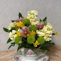 ストック,スプレーマム,ユリオプス デージー,ストック イエロースパーク,スプレーマム パルムグリーンの画像