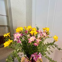 フリージア,石川県,チーム石川,お出かけ先の画像