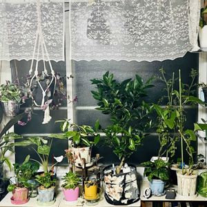 寝室,リビング・ダイニングの画像