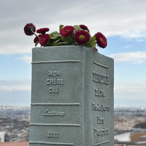 デージー,デージー,赤い花,レンガ,ブック型プランターの画像