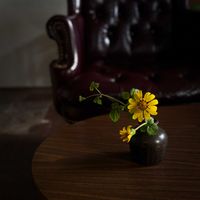 リュウキュウツワブキ,花器,花のある暮らし,庭花の画像