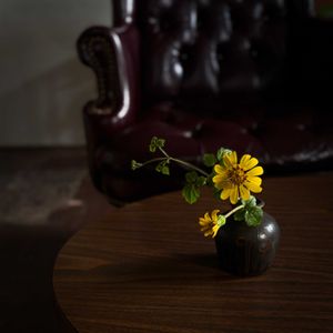 リュウキュウツワブキ,花器,花のある暮らし,庭花の画像