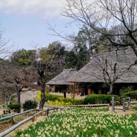 スイセン,大人の着せ替え人形,日本民家集落博物館,お散歩ちゃんキーホルダー,お散歩は季節をまとっての画像