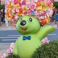 ストック,いつもありがとう♡,花のある暮らし,花が好き,繋がりに感謝✨の画像