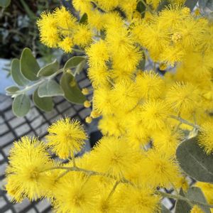 お出かけ先の画像