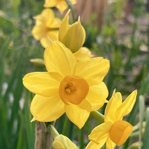 ビタミンカラー,お出かけ先の画像