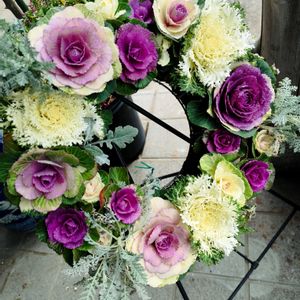 葉牡丹,リングバスケット,玄関アプローチの画像