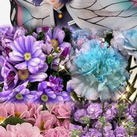 カーネーション,サイネリア,ストック,プリムラ ポリアンサ,デイジーの画像