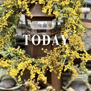 今庭,リース,スワッグ,コンテナガーデン,花が好きの画像