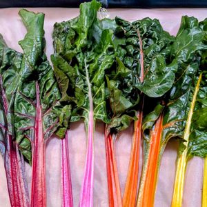 スイスチャード,Juneの会,pray for ukraine,2020年6月同期No.012,カラフルな火曜日の画像