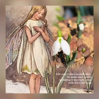 スノードロップ,スノードロップ,アロマティカス,ウツボカズラ,手乗りハス　暁天の画像