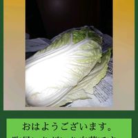 白菜,今日も笑顔で♡,いつもありがとう❤️,今を生きる,穏やかな毎日の画像