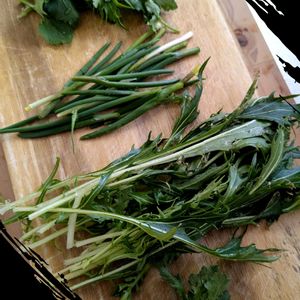 アサツキ,三つ葉,水菜,しゅんぎく,雑炊の画像