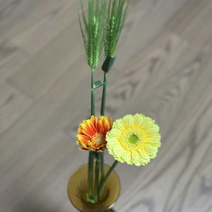 ガーベラ,ムギ,花瓶,キク科,イネ科の画像