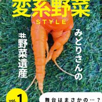 ニンジン,野菜のある暮らし,野菜遺産,野菜遺産PROJECT,家庭菜園の画像