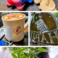 シクラメン,シラカシ,シラカシ,ホットチョコレート,葉っぱの画像