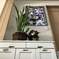 サンスベリア,サツマイモの画像