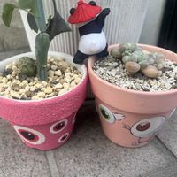 七宝樹,ロココ,B型,パンダの日,GSミニモニ。の画像