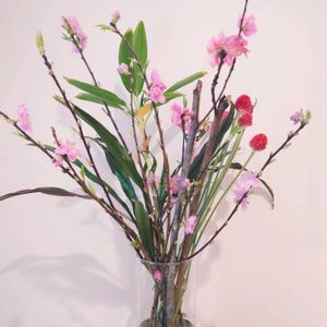 桃の花,切り花,花瓶,切り枝,北海道の画像