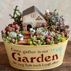 多肉箱庭,パンダの日,GSミニモニ。,つぶつぶの日,ｵｹﾂの日の画像