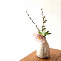 クリスマスローズ,ピンクユキヤナギ,一輪挿し,iPhone撮影,春の訪れの画像