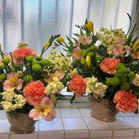 アルストロメリア,カーネーション,ストック,フリージアの画像