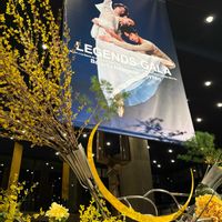 コチョウラン,ダリア,オンシジューム,花散歩,癒しの時間の画像