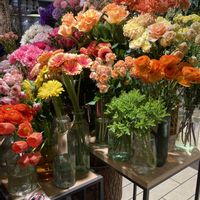 モンステラ,ビカクシダ,スパニッシュモス,プリザーブド フラワー♡,綺麗✨の画像